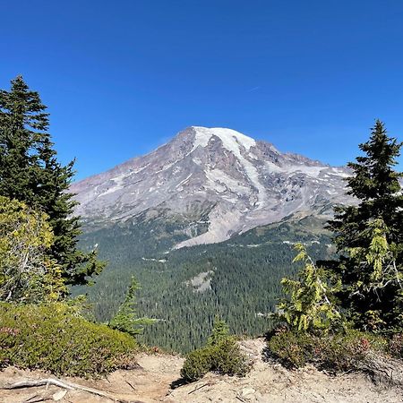 New Modern Cabin! 5Mi To Mt Rainier National Park! Hot Tub & Wifi Ashford Exteriör bild
