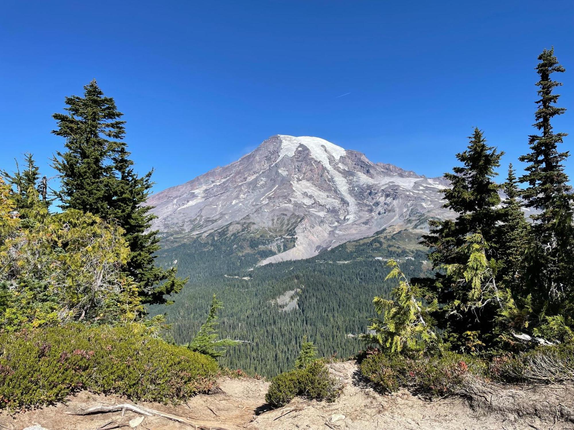 New Modern Cabin! 5Mi To Mt Rainier National Park! Hot Tub & Wifi Ashford Exteriör bild