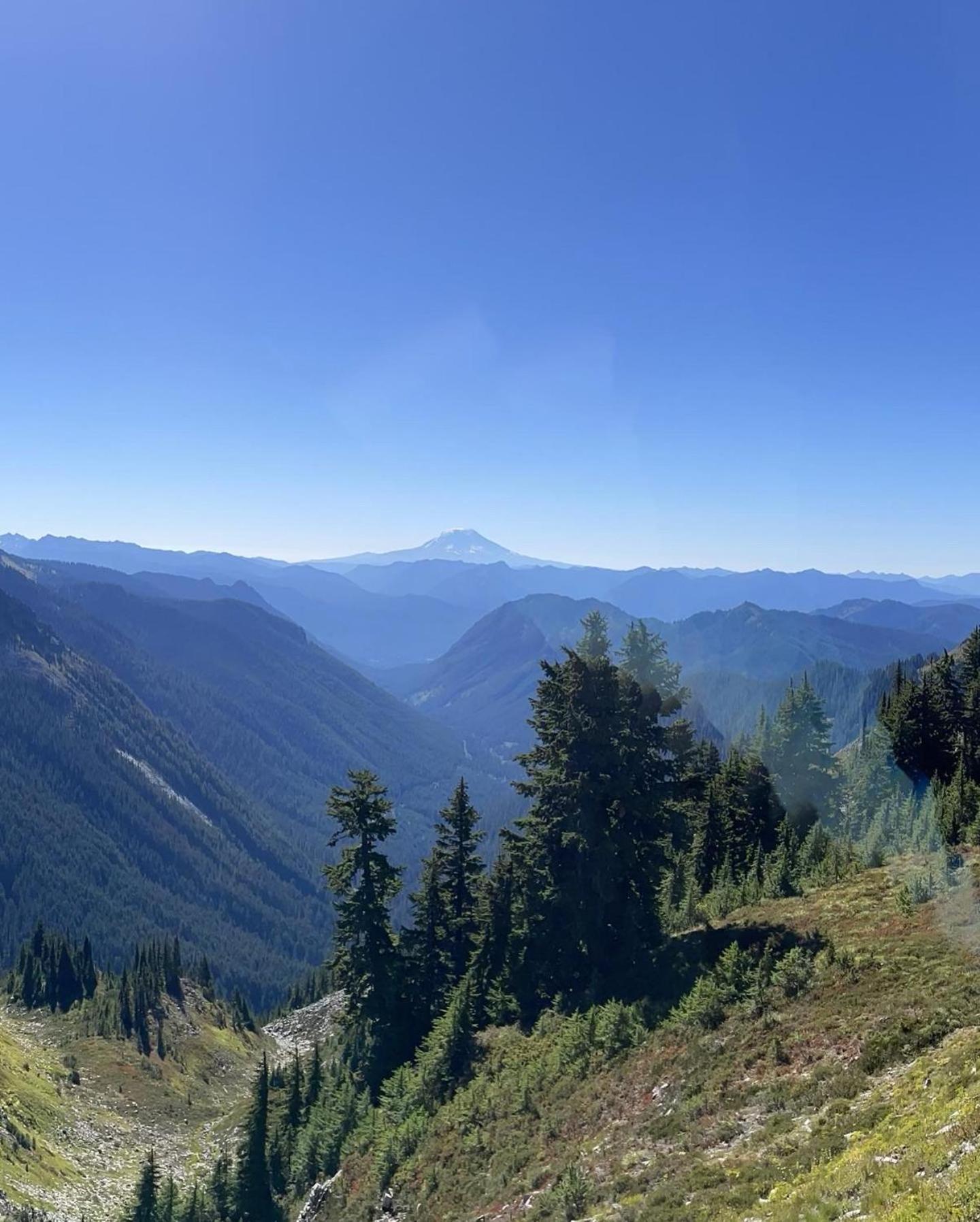 New Modern Cabin! 5Mi To Mt Rainier National Park! Hot Tub & Wifi Ashford Exteriör bild